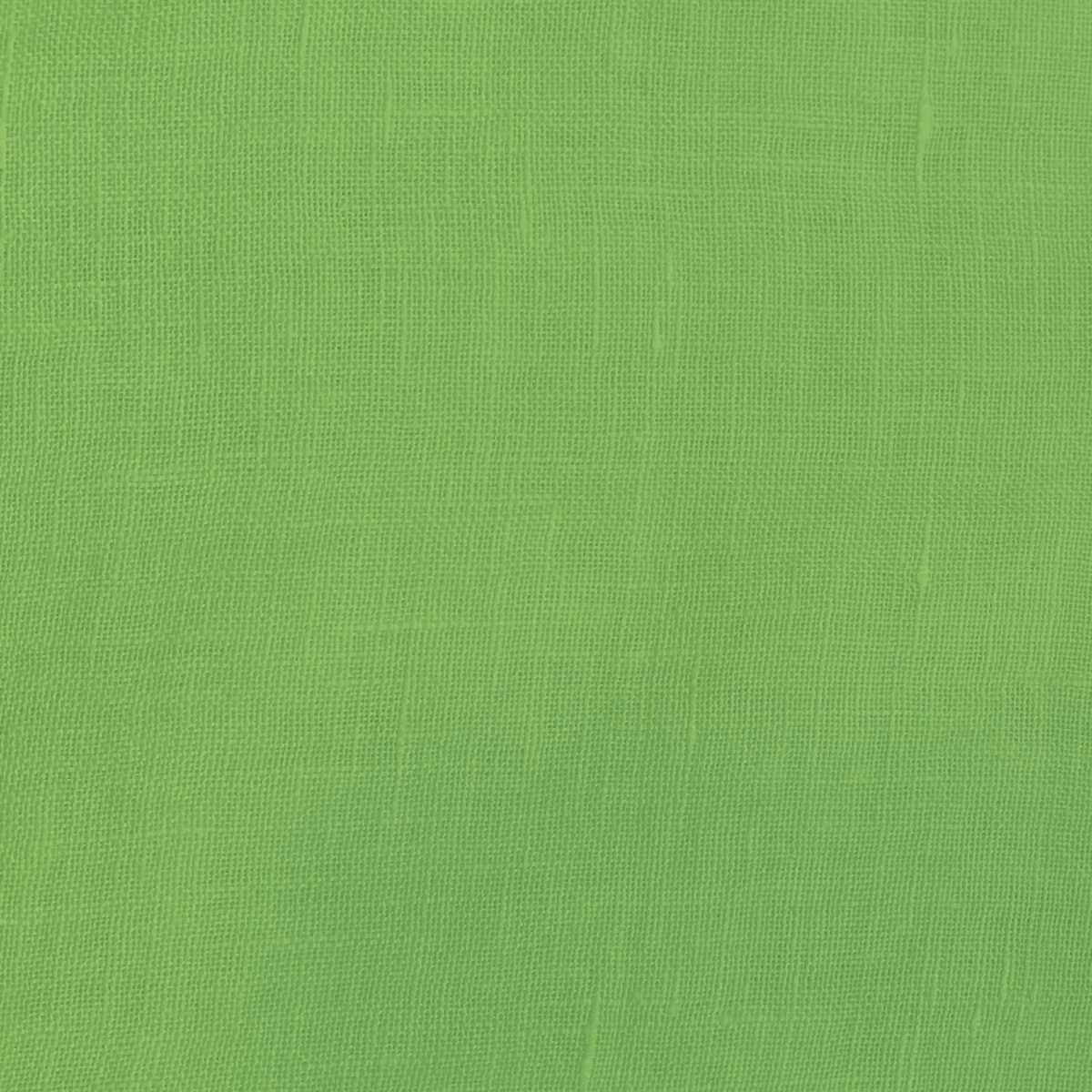 C16AD30055 81 kiwi